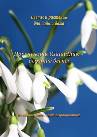 Федор Кольцов. Подснежник (Galanthus) – дыхание весны