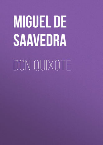 Мигель де Сервантес Сааведра. Don Quixote