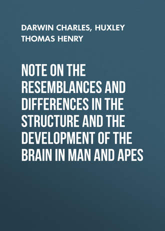 Чарльз Дарвин. Note on the Resemblances and Differences in the Structure and the Development of the Brain in Man and Apes