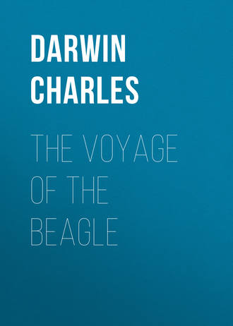 Чарльз Дарвин. The Voyage of the Beagle
