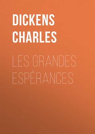 Les grandes espérances. 