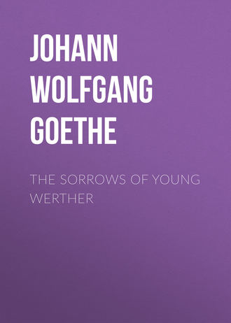 Иоганн Вольфганг фон Гёте. The Sorrows of Young Werther