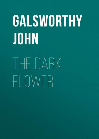 Джон Голсуорси. The Dark Flower