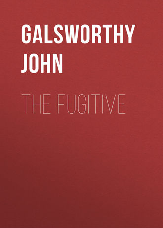Джон Голсуорси. The Fugitive