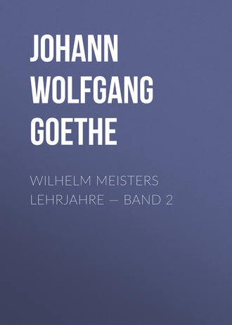 Иоганн Вольфганг фон Гёте. Wilhelm Meisters Lehrjahre — Band 2