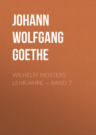 Иоганн Вольфганг фон Гёте. Wilhelm Meisters Lehrjahre — Band 7