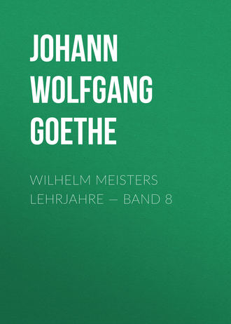 Иоганн Вольфганг фон Гёте. Wilhelm Meisters Lehrjahre — Band 8