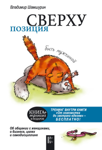 Позиция сверху: быть мужчиной. Владимир Шамшурин
