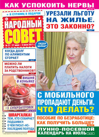 Группа авторов. Народный совет №27/2017