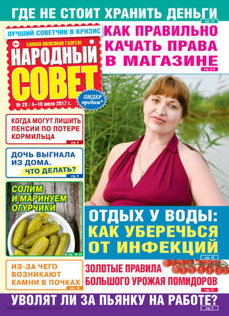 Народный совет №28/2017. Группа авторов