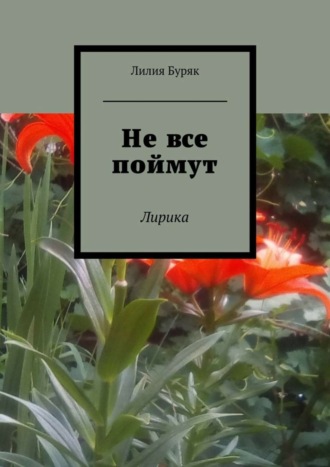 Не все поймут. Лирика. 
