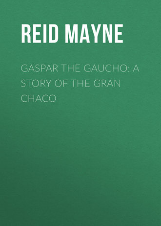 Gaspar the Gaucho: A Story of the Gran Chaco. 