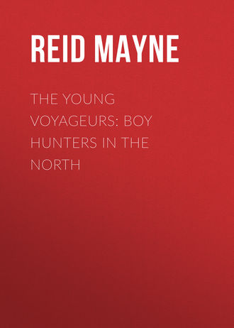The Young Voyageurs: Boy Hunters in the North. 