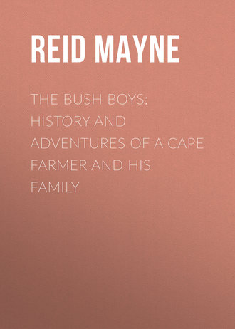 Майн Рид. The Bush Boys: History and Adventures of a Cape Farmer and his Family
