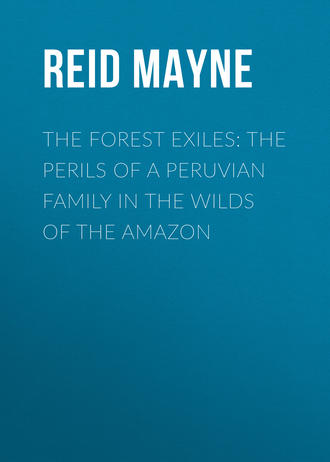 The Forest Exiles: The Perils of a Peruvian Family in the Wilds of the Amazon. 