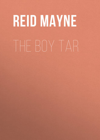 Майн Рид. The Boy Tar