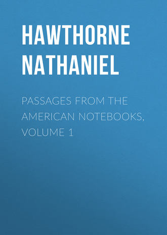 Натаниель Готорн. Passages from the American Notebooks, Volume 1