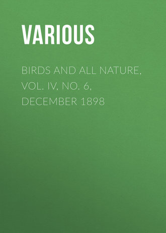 Various. Birds and all Nature, Vol. IV, No. 6, December 1898