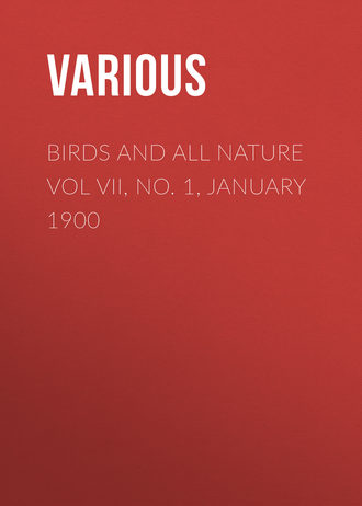 Birds and All Nature Vol VII, No. 1, January 1900. 