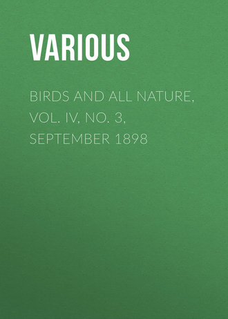 Various. Birds and all Nature, Vol. IV, No. 3, September 1898