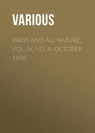 Various. Birds and all Nature, Vol. IV, No. 4, October 1898