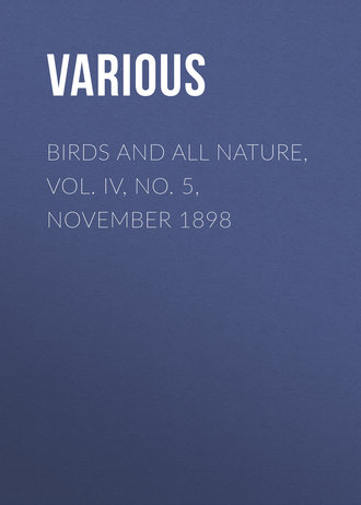 Various. Birds and All Nature, Vol. IV, No. 5, November 1898