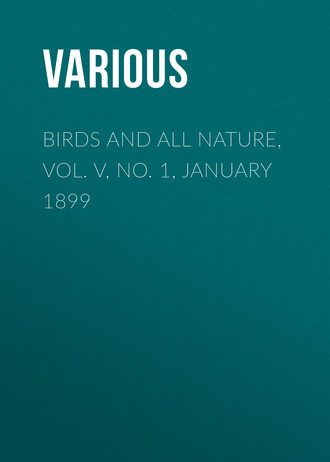 Birds and all Nature, Vol. V, No. 1, January 1899. 