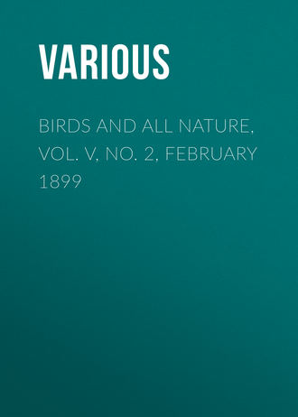 Various. Birds and all Nature, Vol. V, No. 2, February 1899