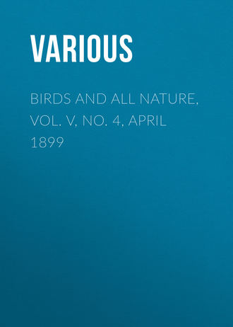 Various. Birds and All Nature, Vol. V, No. 4, April 1899