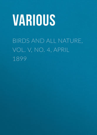 Birds and All Nature, Vol. V, No. 4, April 1899. 