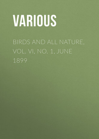 Various. Birds and All Nature, Vol. VI, No. 1, June 1899