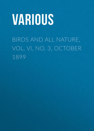 Various. Birds and All Nature, Vol. VI, No. 3, October 1899