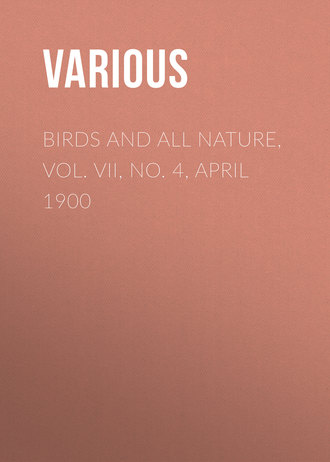 Various. Birds and all Nature, Vol. VII, No. 4, April 1900