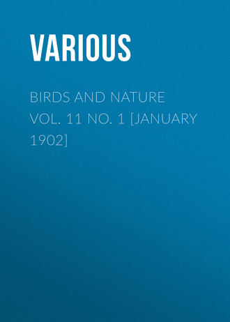 Various. Birds and Nature Vol. 11 No. 1 [January 1902]