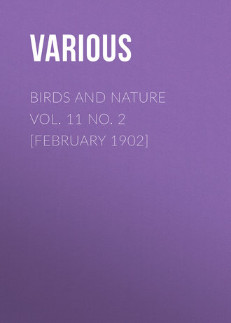Birds and Nature Vol. 11 No. 2 [February 1902]. 