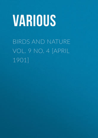 Various. Birds and Nature Vol. 9 No. 4 [April 1901]