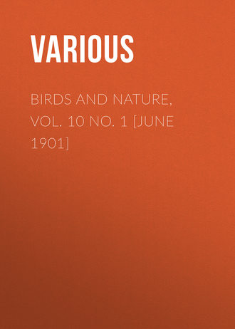Various. Birds and Nature, Vol. 10 No. 1 [June 1901]