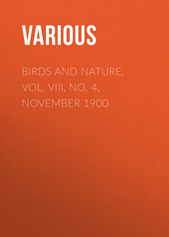 Various. Birds and Nature, Vol. VIII, No. 4, November 1900