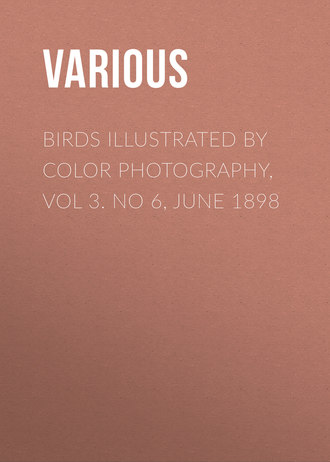 Various. Birds Illustrated by Color Photography, Vol 3. No 6, June 1898