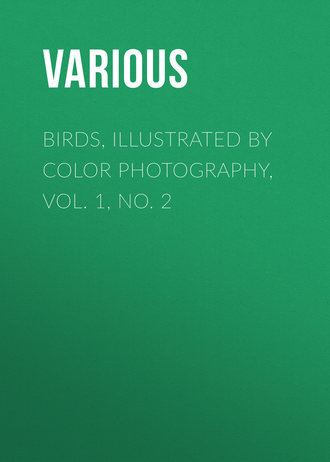 Various. Birds, Illustrated by Color Photography, Vol. 1, No. 2