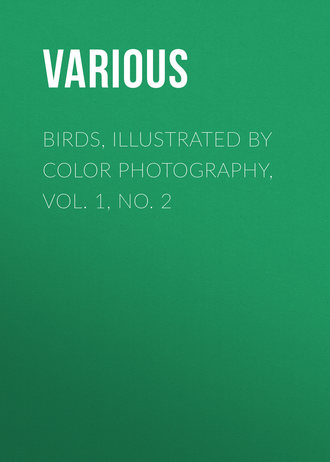 Birds, Illustrated by Color Photography, Vol. 1, No. 2. 