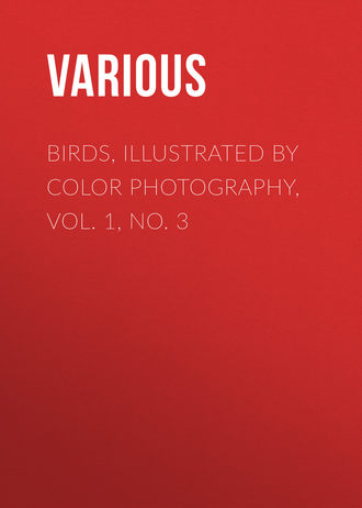 Various. Birds, Illustrated by Color Photography, Vol. 1, No. 3