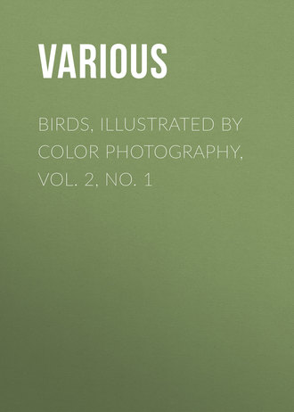 Various. Birds, Illustrated by Color Photography, Vol. 2, No. 1