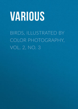Various. Birds, Illustrated by Color Photography, Vol. 2, No. 3