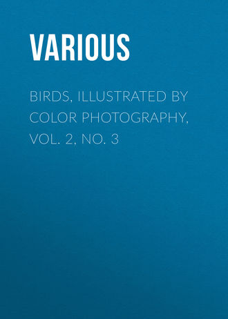 Birds, Illustrated by Color Photography, Vol. 2, No. 3. 