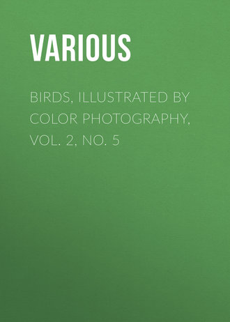 Various. Birds, Illustrated by Color Photography, Vol. 2, No. 5