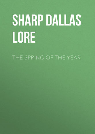 Sharp Dallas Lore. The Spring of the Year