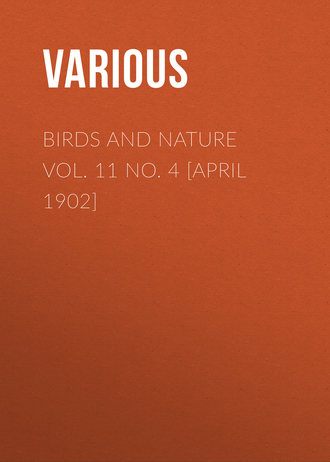 Various. Birds and Nature Vol. 11 No. 4 [April 1902]