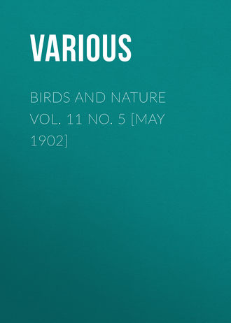 Various. Birds and Nature Vol. 11 No. 5 [May 1902]
