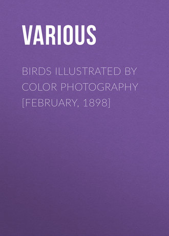 Various. Birds Illustrated by Color Photography [February, 1898]